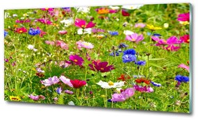 Egyedi üvegkép Field virágok osh-169402975
