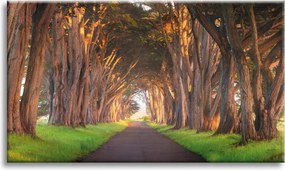 Vászonkép Út a fák között Natura 90x60 cm Ideális ajándék