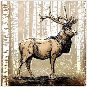 Poszterek 100x100 Szarvas Nyírfa Erdő