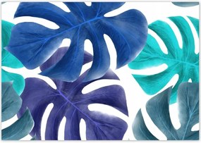 Poszterek 100x70 Monstera Levelek Kék