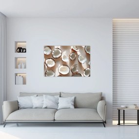 Kép - Kókuszdiók (90x60 cm)