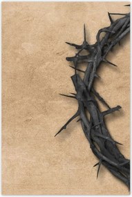 Poszterek 60x90 Töviskorona Tövisek