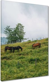 Festmények 70x100 Tájképek Kilátások Tájképek