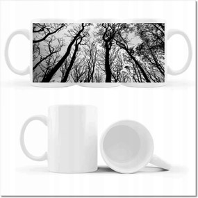 Fotó bögre Erdő Fák Kilátás alulról