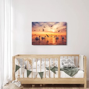 Kép - Hattyúk (90x60 cm)