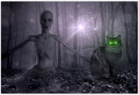 Poszterek 200x135 Macska Alien Lime Macskák