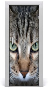 Ajtóposzter öntapadós macska szemek 85x205 cm