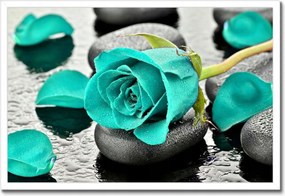 Poszter keretben 60x40 Türkiz rózsa