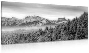Kép jeges hegyek fekete fehérben