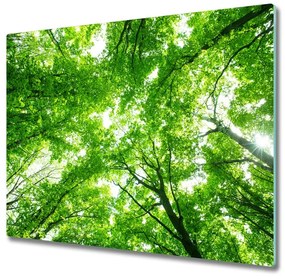 Üveg vágódeszka Zöld erdő 60x52 cm