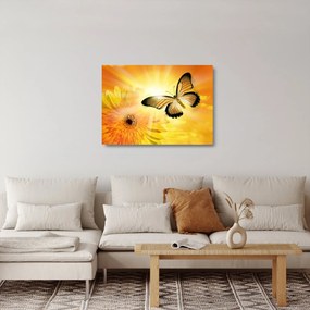 Kép - Sárga pillangó virággal (üvegen) (70x50 cm)