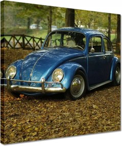 Vászonkép 30x30 Bogár Vw autó]