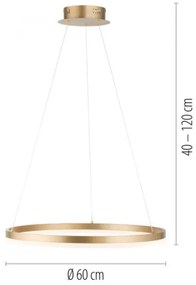 Paul Neuhaus 2382-60 - LED Dimmelhető csillár zsinóron TITUS LED/38,5W/230V