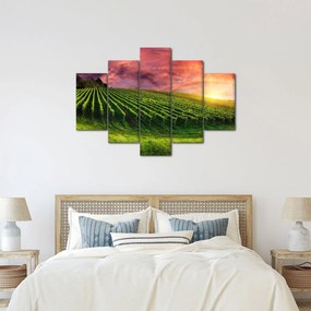 Szőlőskert és a színes égbolt képe (150x105 cm)