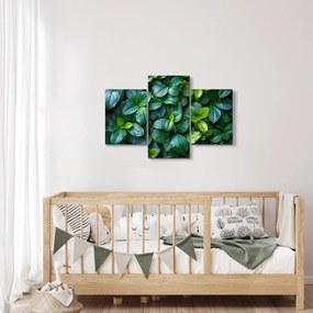 Kép - Zöld növények (90x60 cm)