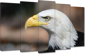 Vászonkép 100x60 Sasfej