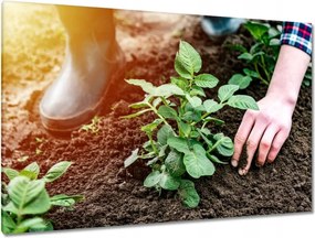 Képek 120x80 Gyomok eltávolítása a földről