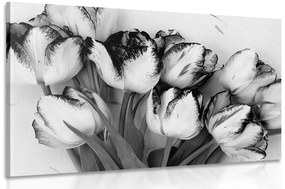 Kép tavaszi tulipánok fekete fehérben - 60x40