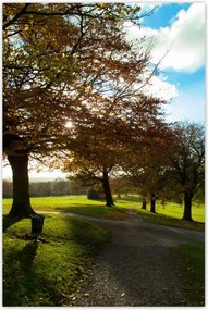 Poszterek 80x120 Őszi tájkép