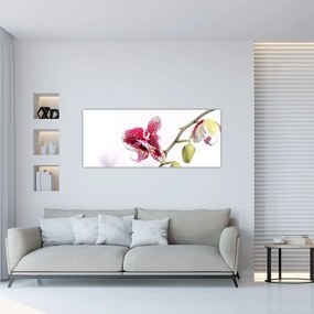 Orchidea virág képe (120x50 cm)