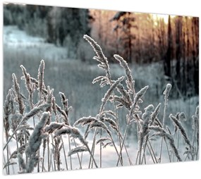 Üveg kép - Fagyott rét (70x50 cm)