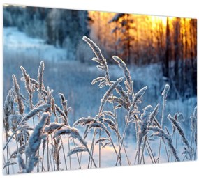 Kép - Téli rét (70x50 cm)