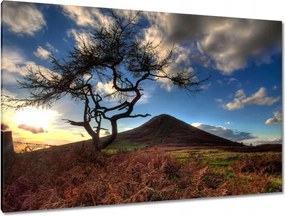 Festmények 120x80 Fa