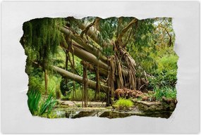 Poszterek 120x80 Tájkép Látvány