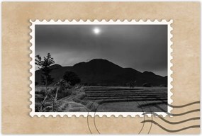 Poszterek 90x60 Kilåtås a rizsföldekre