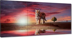Vászonkép 60x30 Tigris