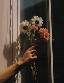 Poszter 50x65cm Sugár és szirmok