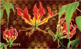 Fotótapéta Gloria Orient Virágok Liliomok 250x175 látványos dekoráció +ragasztó