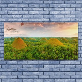 Vászonkép Jungle-erdő Természetvédelmi 100x50 cm