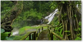 Fotó üvegkép Vízesés a dzsungelben 140x70