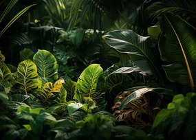 Poszter 70x50cm A természet eldugott zuga