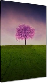 Vászonkép 80x120 Malackafa