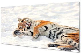 Üvegképek Tiger tél 100x50 cm 2 fogas