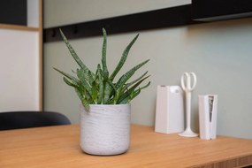 Charlie Planter, antik szürke, többféle méretben – Pottery Pots méret: H - h 24 cm, ⌀ 25 cm