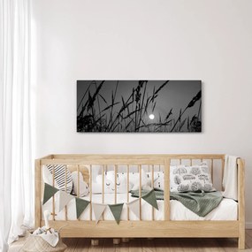 Kép - rét naplementével (120x50 cm)