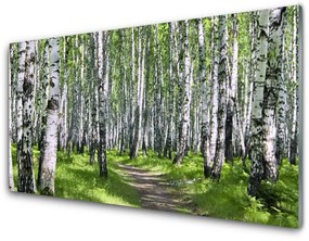 Üvegkép Erdei fák természet Path 100x50 cm