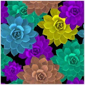 Poszterek 140x140 Színes virágok Virágok