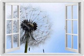 Poszterek 90x60 Hétköznapi pitypang