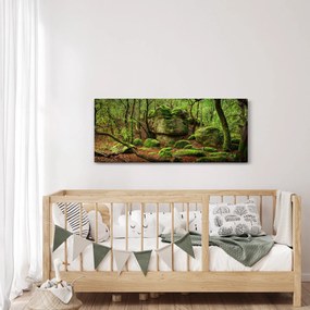 Egy varázslatos erdő képe (120x50 cm)