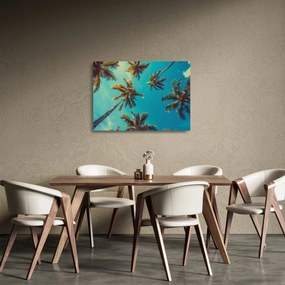 Üveg kép - Magas pálmafák (70x50 cm)