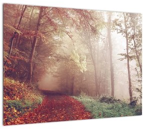 Kép - Őszi séta az erdőben (üvegen) (70x50 cm)