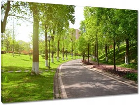 Vászonkép 90x60 Ösvény a parkban természet