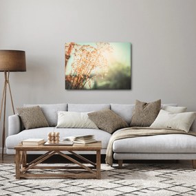 Kép - Réti növények (70x50 cm)