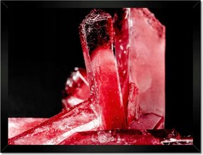 Poszterek keretben 40x30 Makrofotó MacroFoto