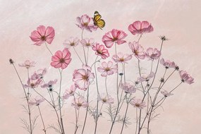 Illusztráció Cosmos and Butterfly, Lydia Jacobs