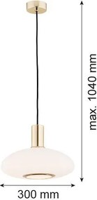 ARGON 4358 SAGUNTO Egyágú Függesztett Lámpa Fém E27 IP20